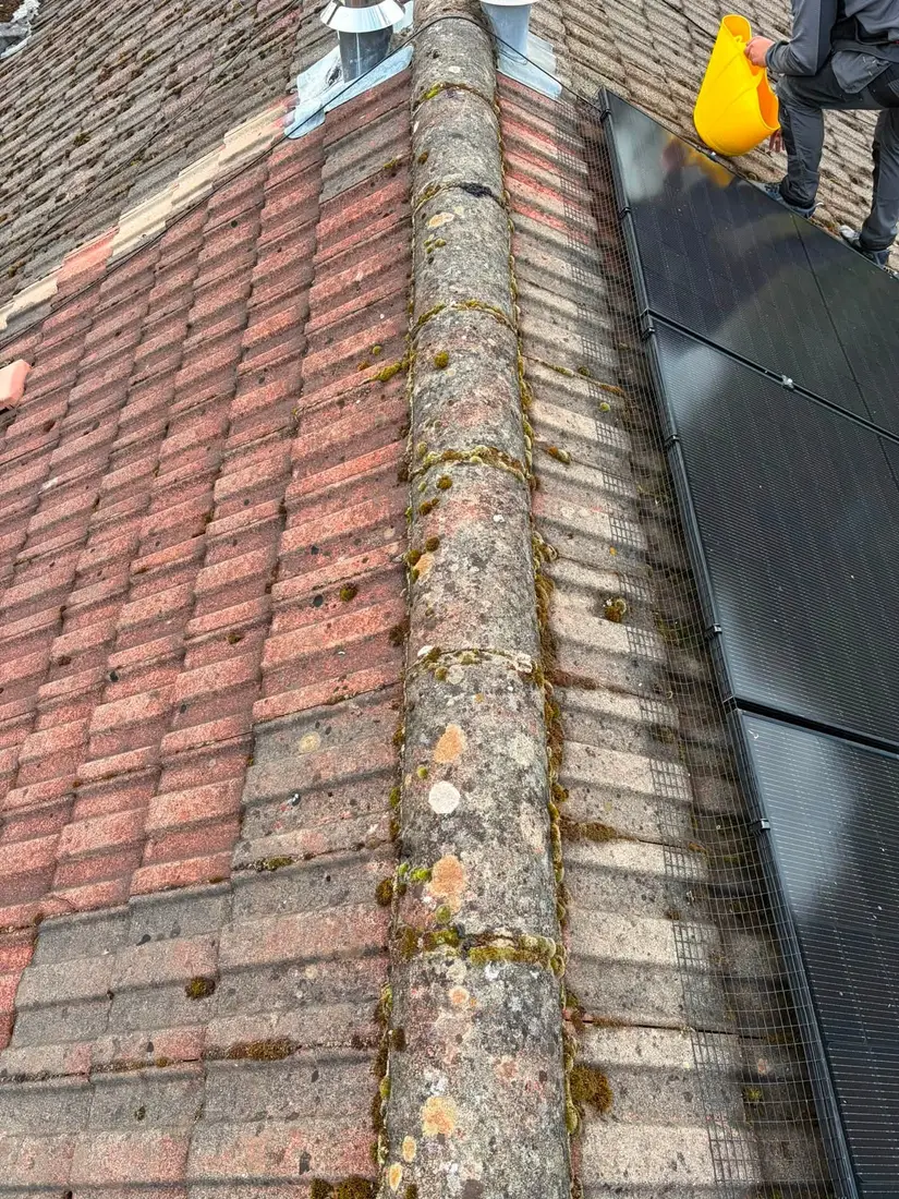 Before: Moss and lichen cleared from a tiled roof and its ridge line