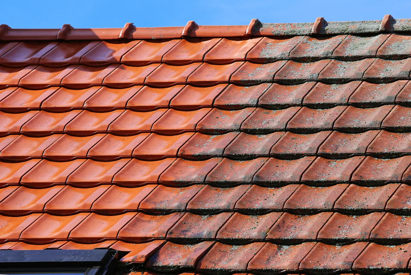 Local roof cleaning & moss removal in Killay