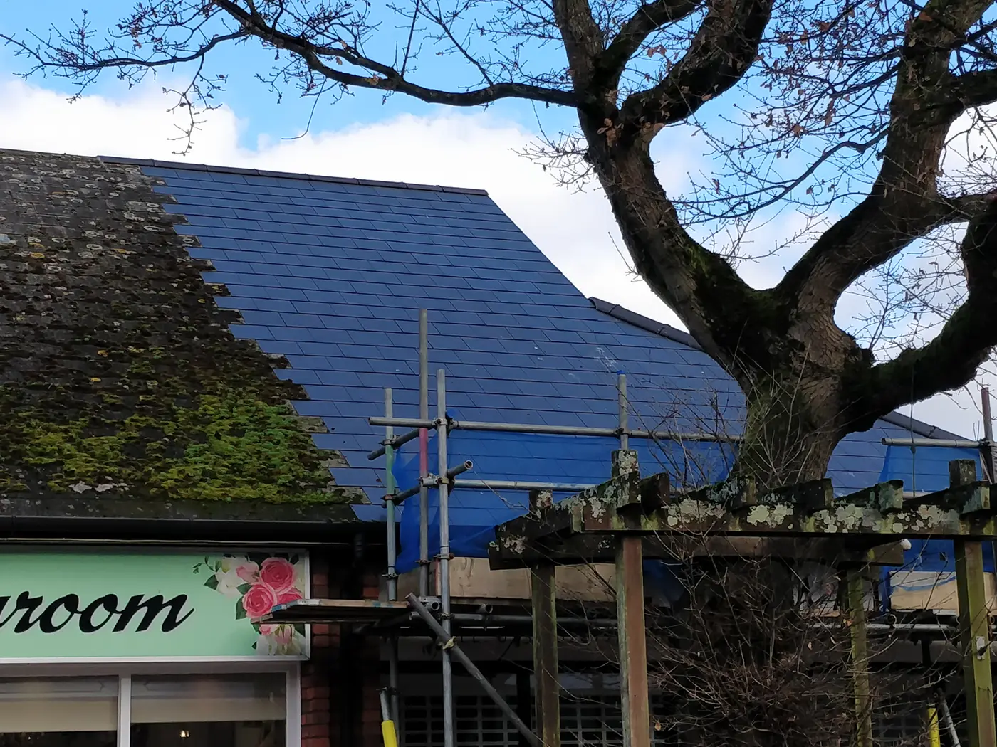 Roof Cleaning & Moss Removal services in Killay
