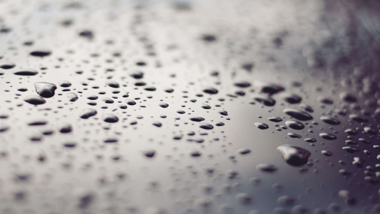 Damp Proofing in the Swansea area