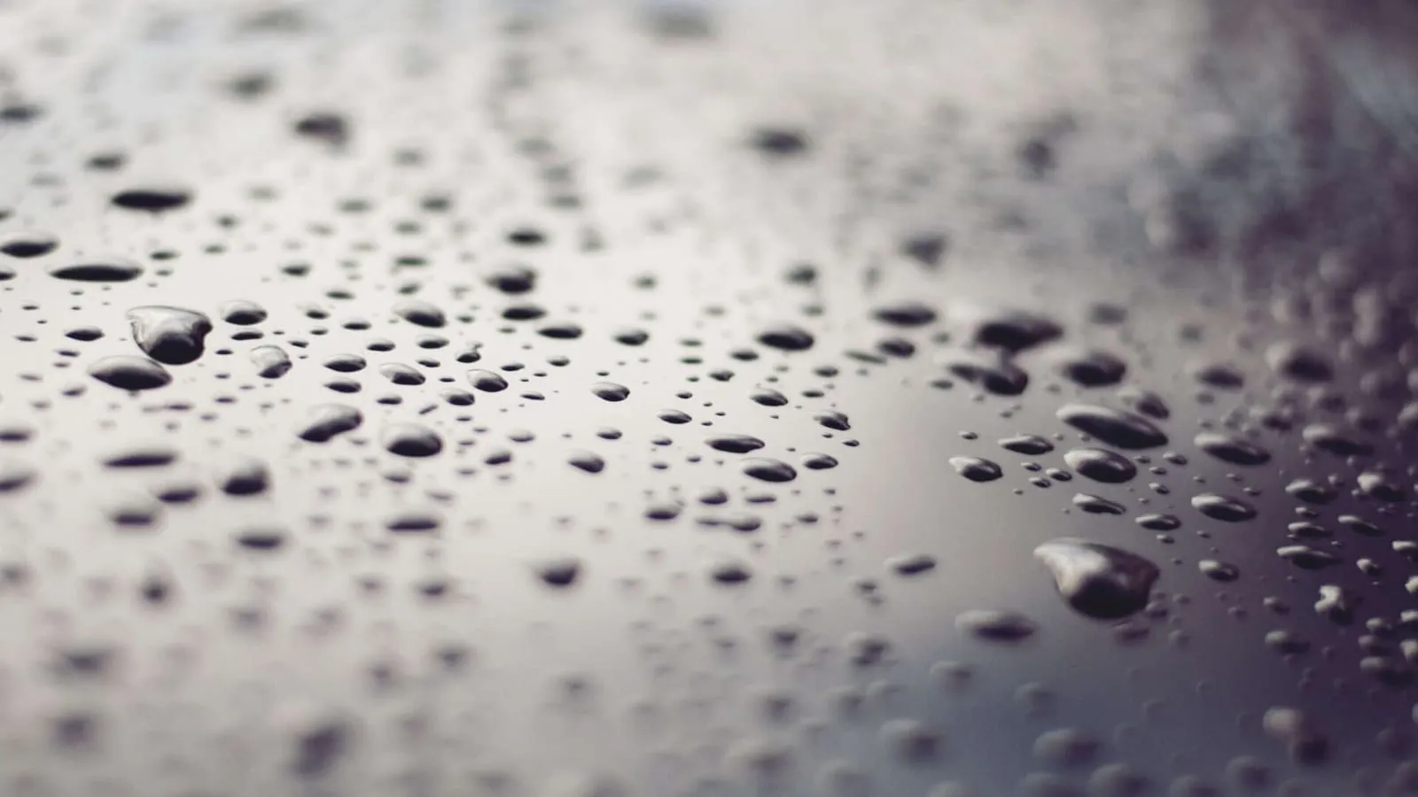 Damp Proofing in the Swansea area